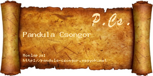 Pandula Csongor névjegykártya