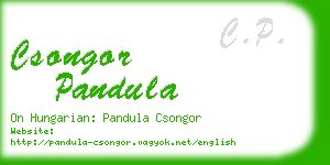 csongor pandula business card